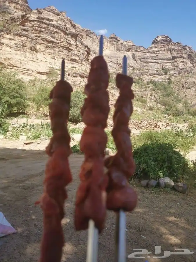 مشاوي خارجية 4