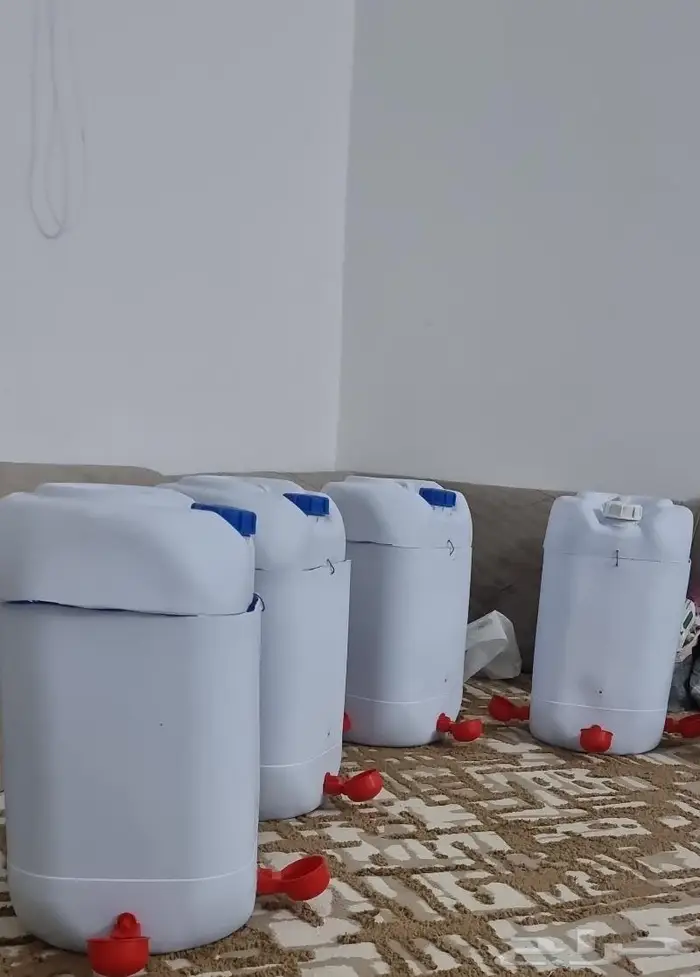 سقايات تومتيك للطيور دجاج حمام بط وز 0