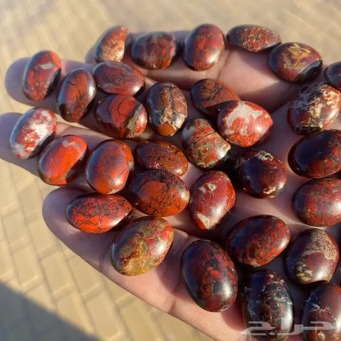 جاسبر إندونيسي من أروع وأجمل واخطر وأندر أنواع الحاسبر 1