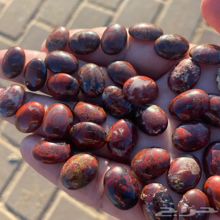 جاسبر إندونيسي من أروع وأجمل واخطر وأندر أنواع الحاسبر 4