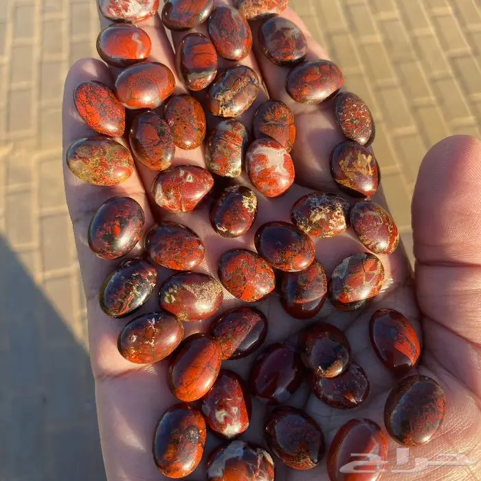 جاسبر إندونيسي من أروع وأجمل واخطر وأندر أنواع الحاسبر 6