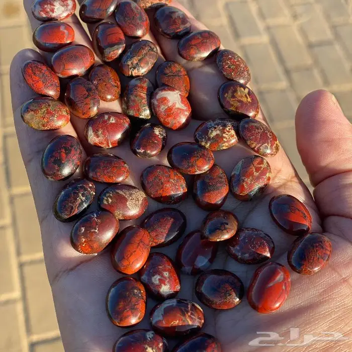 جاسبر إندونيسي من أروع وأجمل واخطر وأندر أنواع الحاسبر 7