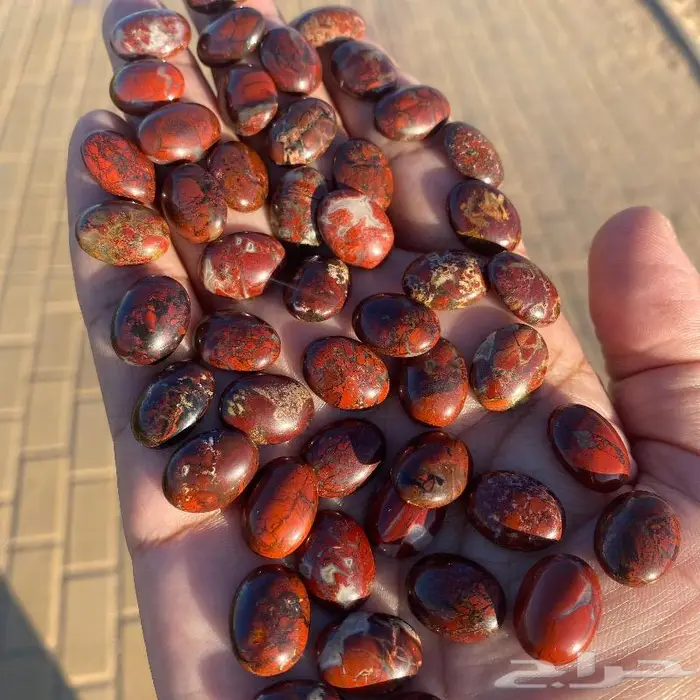 جاسبر إندونيسي من أروع وأجمل واخطر وأندر أنواع الحاسبر 9