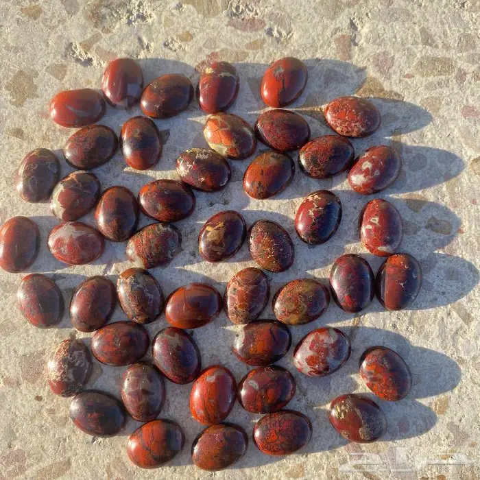 جاسبر إندونيسي من أروع وأجمل واخطر وأندر أنواع الحاسبر 8