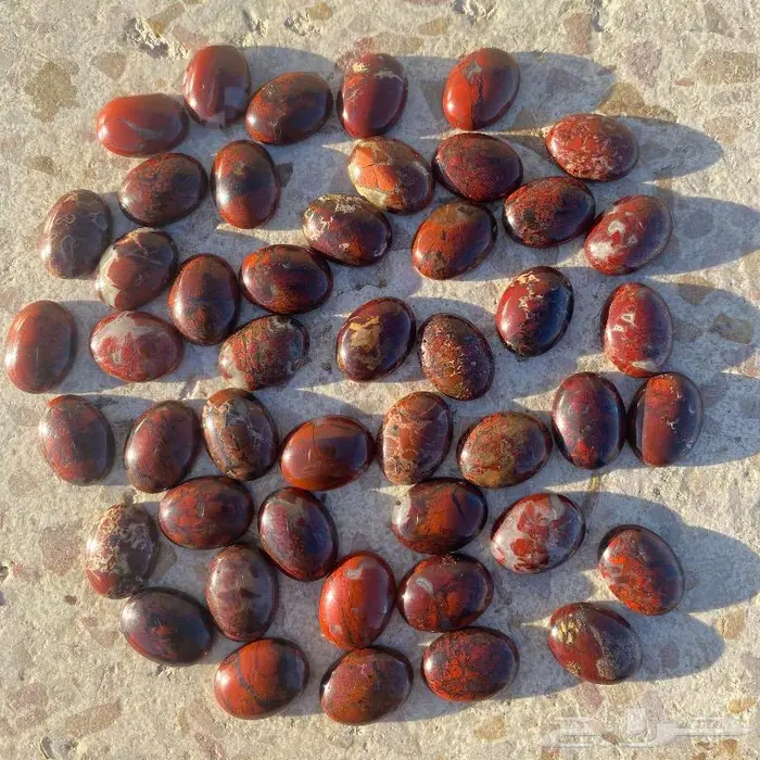 جاسبر إندونيسي من أروع وأجمل واخطر وأندر أنواع الحاسبر 10