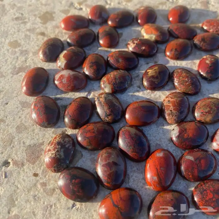 جاسبر إندونيسي من أروع وأجمل واخطر وأندر أنواع الحاسبر 12