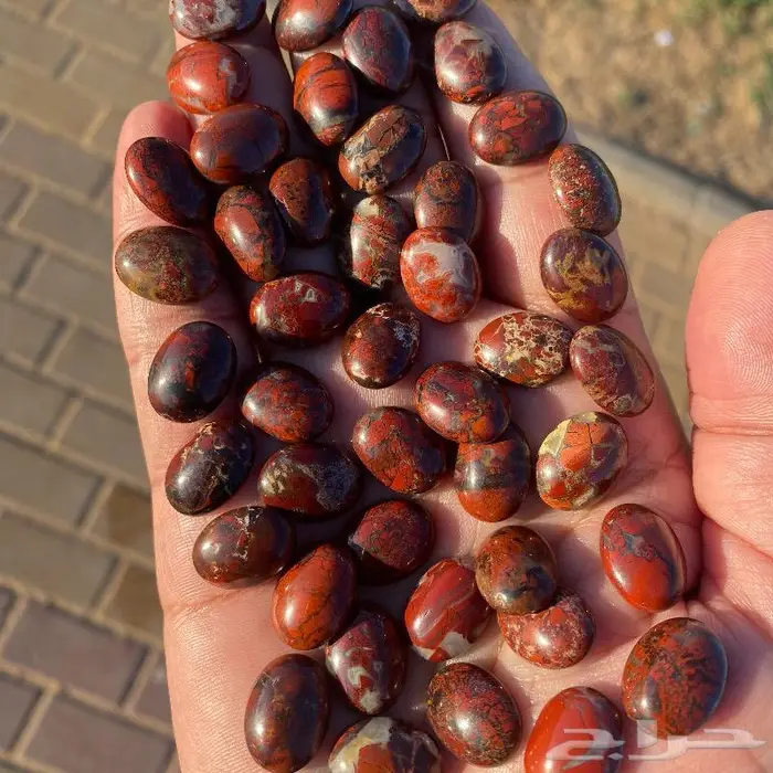 جاسبر إندونيسي من أروع وأجمل واخطر وأندر أنواع الحاسبر 11