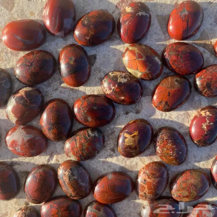 جاسبر إندونيسي من أروع وأجمل واخطر وأندر أنواع الحاسبر 17