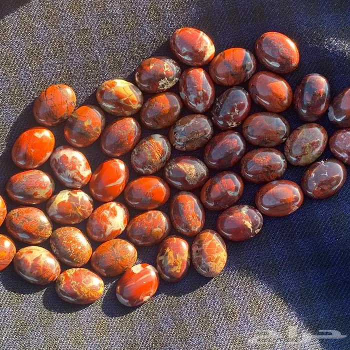 جاسبر إندونيسي من أروع وأجمل واخطر وأندر أنواع الحاسبر 0