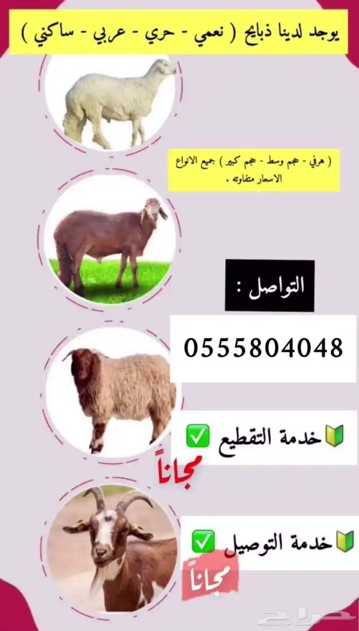 ذبايح الدمام 0