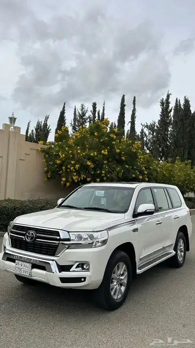 جكسار هدد تم البيع 10