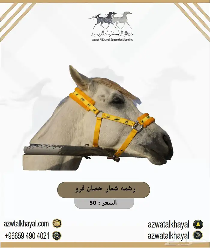 سرج خيل عندنا اقساط 20