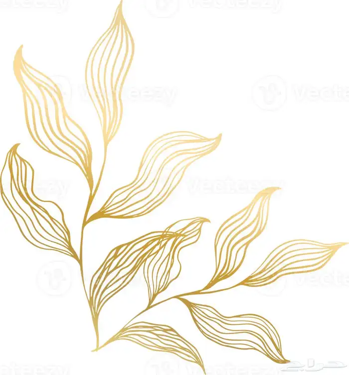 كرت فلوس ظرف مواجيب 0