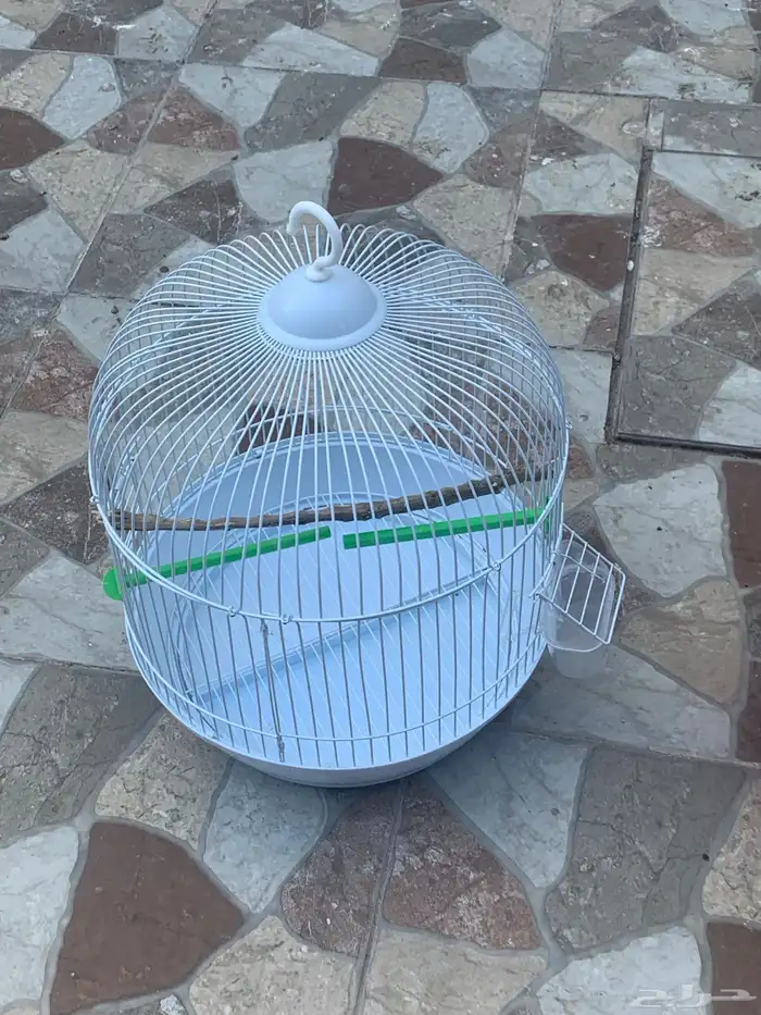 اقفاص للبيع 8