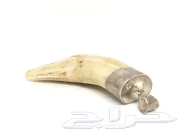 ناب اسد 1