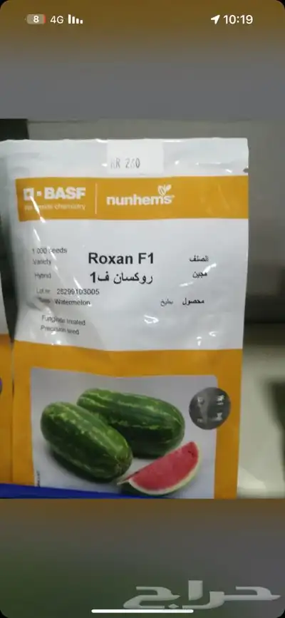 حبحب ملوكي بذور وحبحب سيدلاني 0