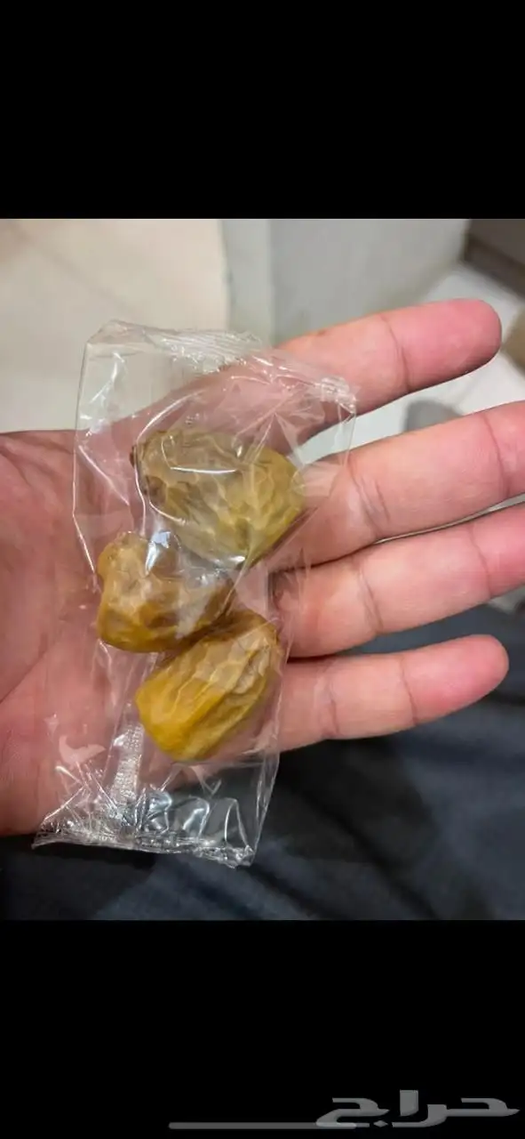 موسسة نورفاد تمور تفطير صايم 18