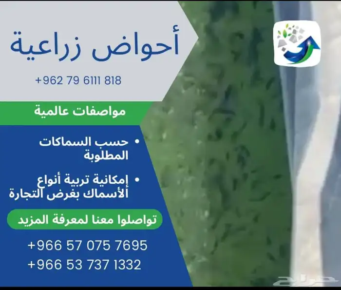 بلاستيك احواض تجميع المياه   مشاريع زراعية اسماك 7