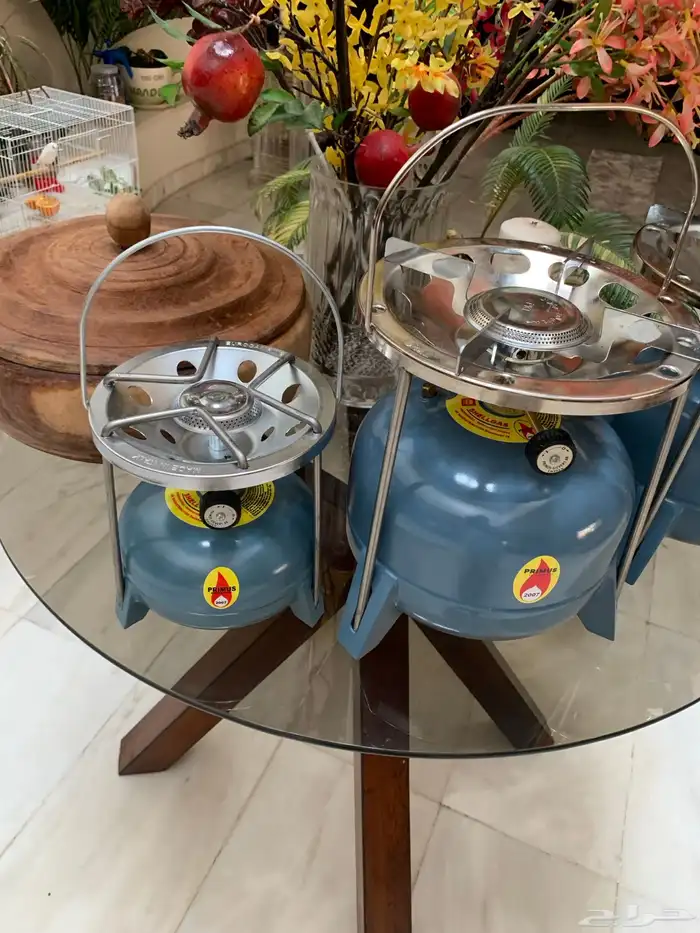 دوافير 5 رطل معدلة شبه بريموس - بيع بالحبة وبالجملة 21