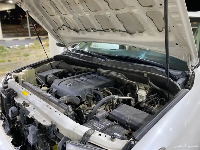 سيكويا ليمتد 2016 ( مخزن ) مباع 54