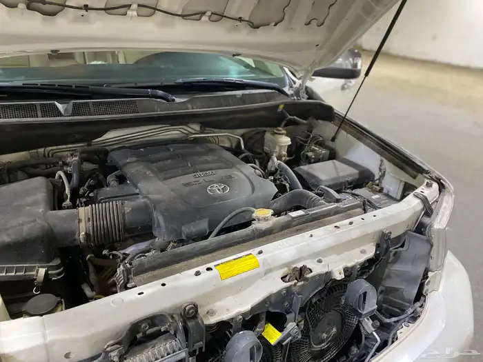 سيكويا ليمتد 2016 ( مخزن ) مباع 55