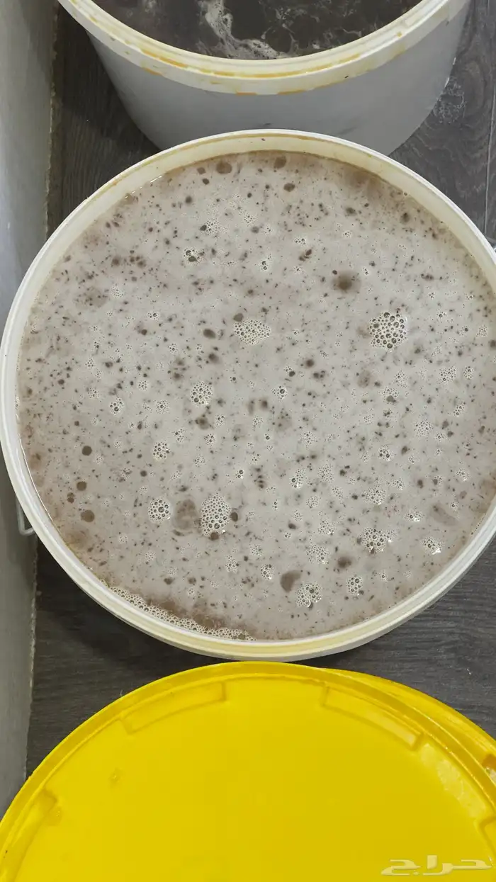 عسل سدره (اصلي  ) 2