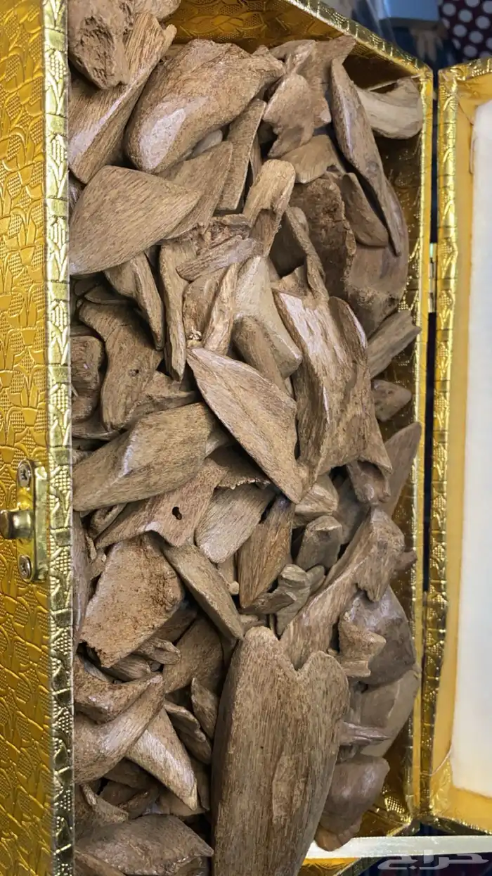 عود مروكي دبل سوبر 0