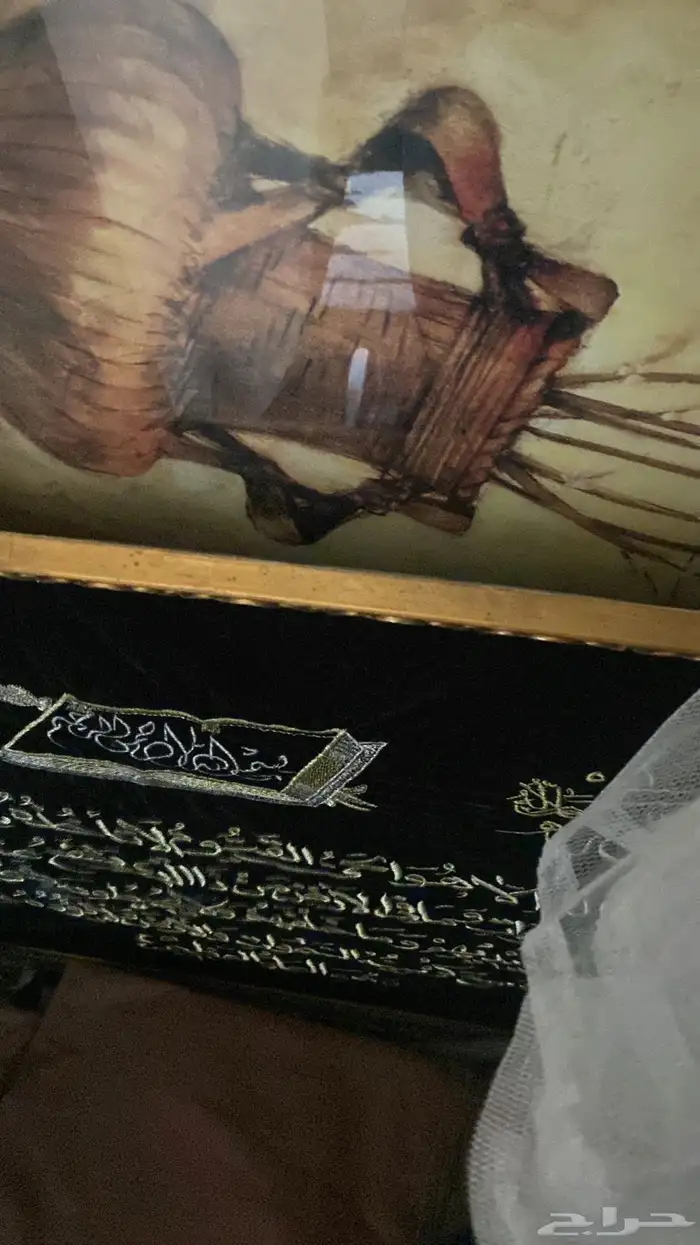 صور ومناظر 1