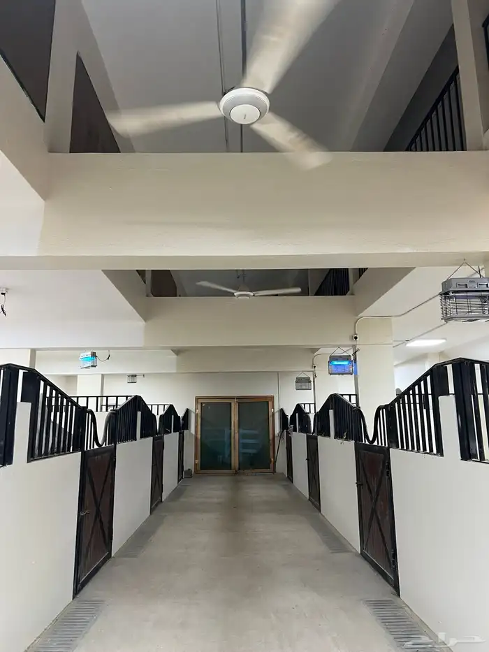 مربط و اسطبل ل ايواء الخيل Horse Stable - شمال جدة (ذهبان) 1