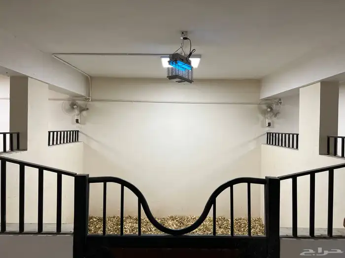 مربط و اسطبل ل ايواء الخيل Horse Stable - شمال جدة (ذهبان) 2