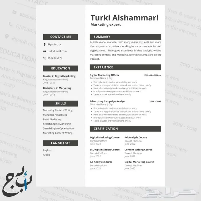 سيرة ذاتية احترافية ATS CV 1