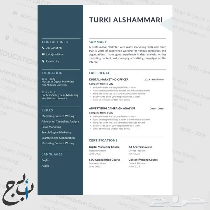 سيرة ذاتية احترافية ATS CV 5