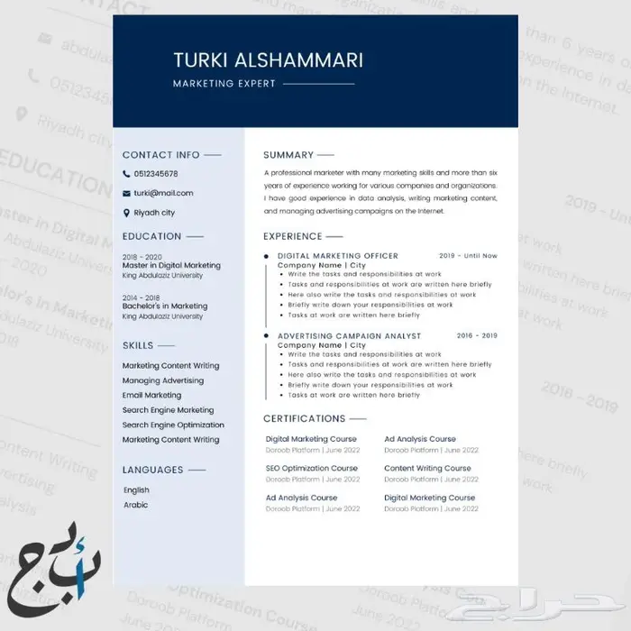 سيرة ذاتية احترافية ATS CV 3