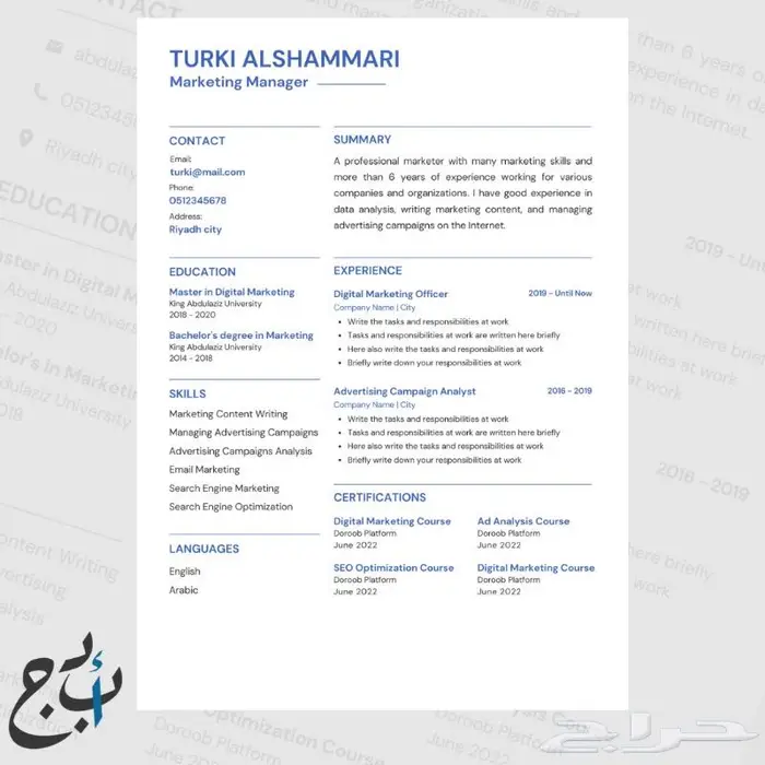 سيرة ذاتية احترافية ATS CV 4