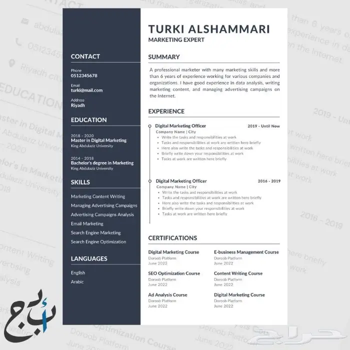 سيرة ذاتية احترافية ATS CV 6