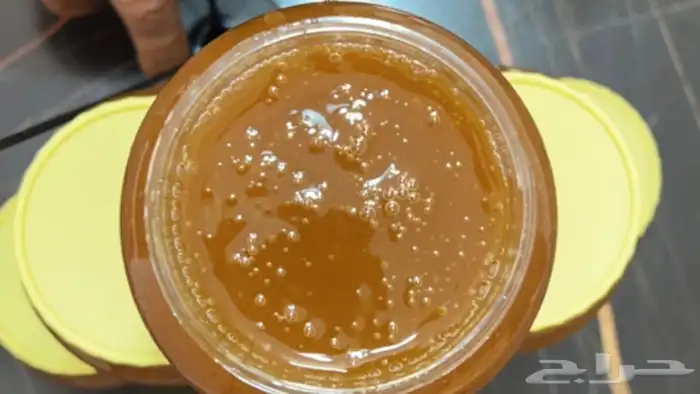 عسل سدره (اصلي  ) 1