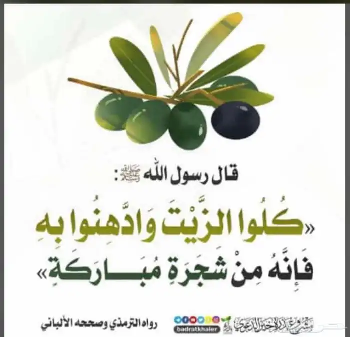 زيت زيتون الجوف 2