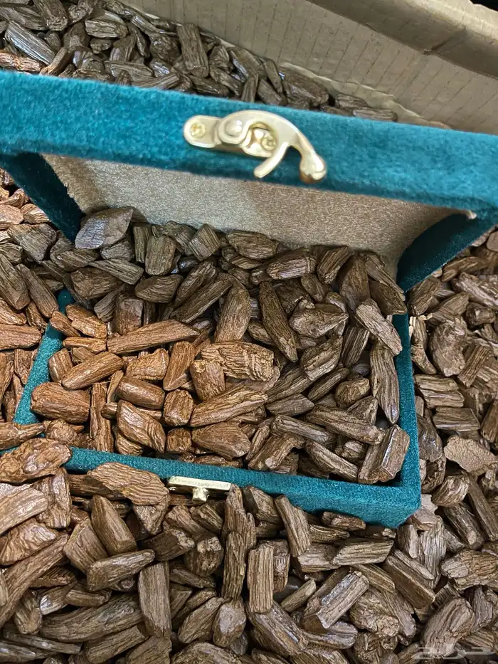 عود مروكي طبيعي محسن دقه 0