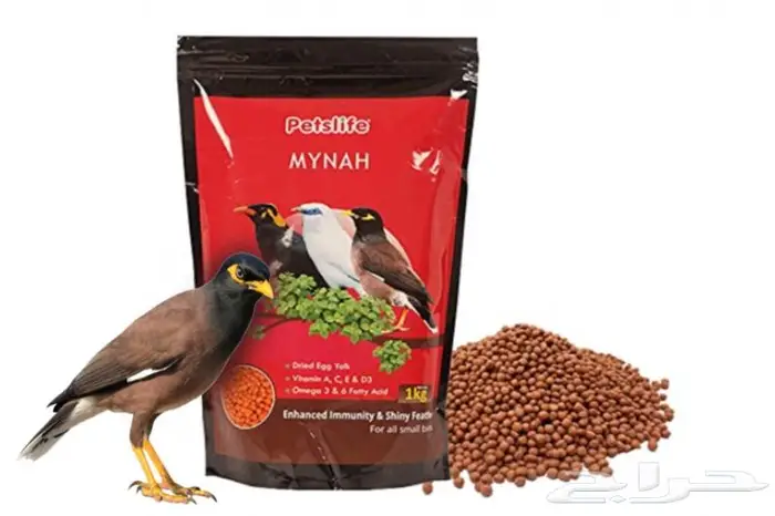 مستلزمات طيور زينة نوادر 57