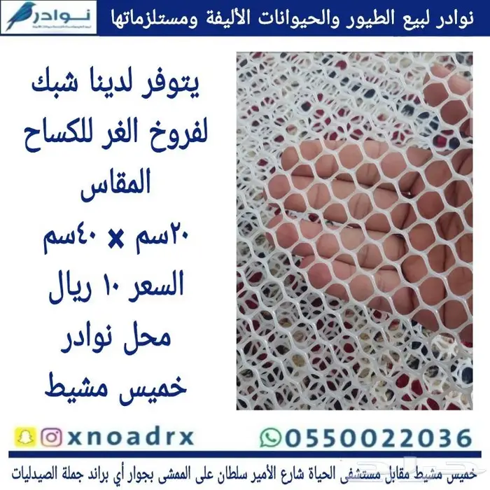سرلاك فرسل لاقا وستاكوس وحب طيور زينة 22