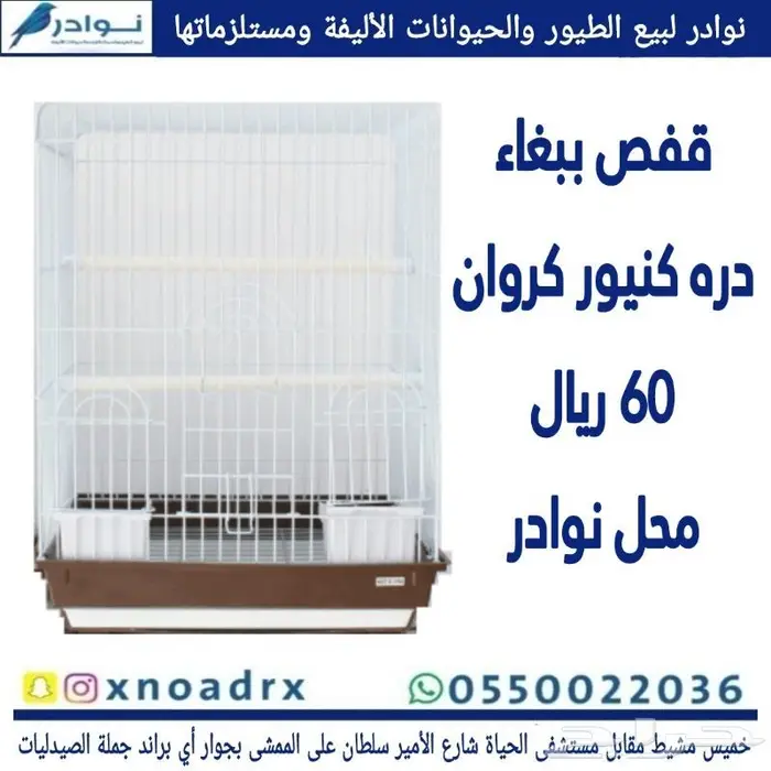 سرلاك فرسل لاقا وستاكوس وحب طيور زينة 24