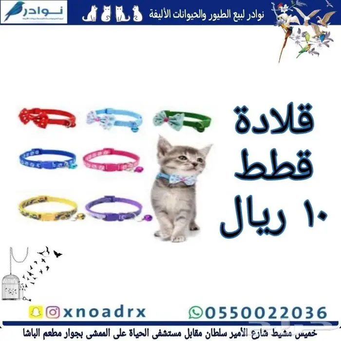 سرلاك فرسل لاقا وستاكوس وحب طيور زينة 27