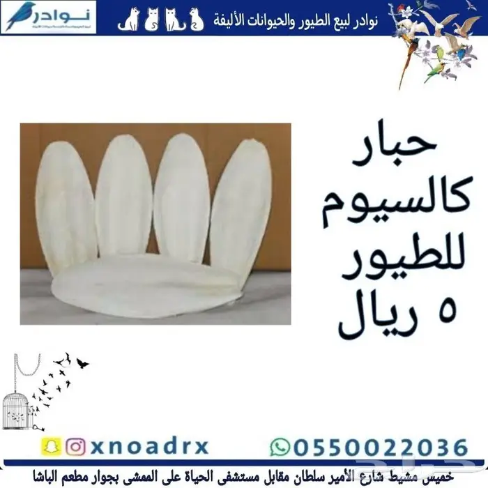 سرلاك فرسل لاقا وستاكوس وحب طيور زينة 28