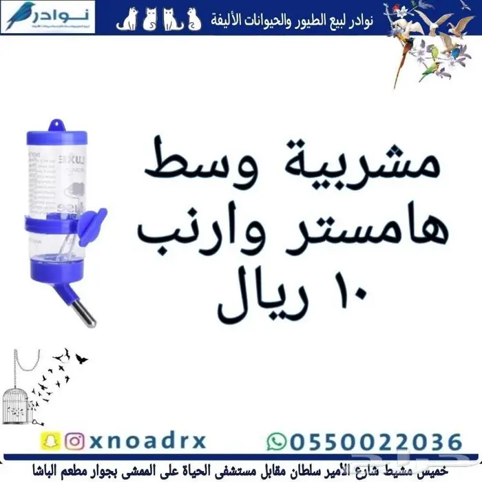 سرلاك فرسل لاقا وستاكوس وحب طيور زينة 29