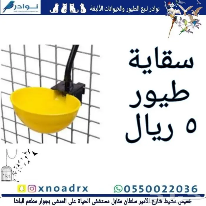 سرلاك فرسل لاقا وستاكوس وحب طيور زينة 32