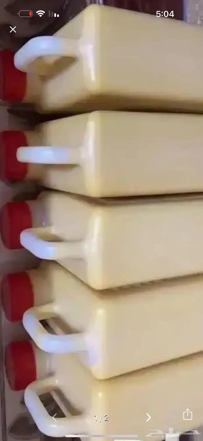 سمن بقر جنوبي شغل اهل اول وسمن غنم 4