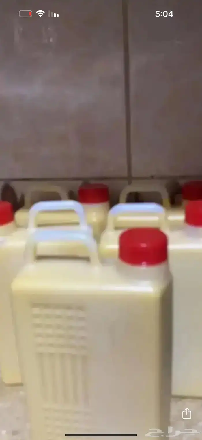 سمن بقر جنوبي شغل اهل اول وسمن غنم 3