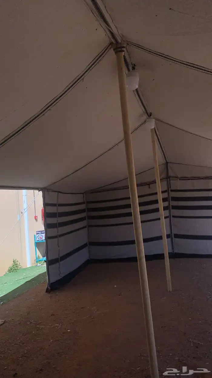 بيت شعر البيض 9 5 عمدان حديد 2