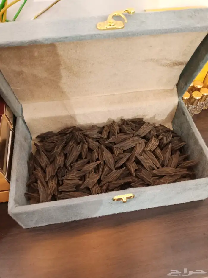 عود تايقر فيتنامي رقم 1 2