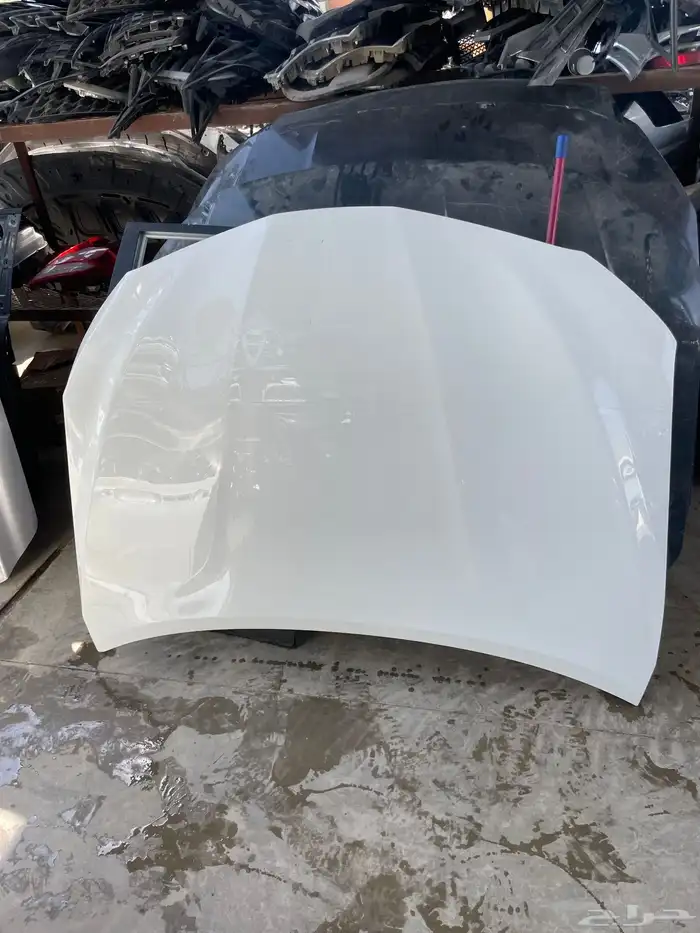 كبوت كامري ابيض ساده موديل 2018__2020__2021__2022__2023__24 3